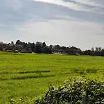 Harmony House Boutique Bed & Breakfast 4*