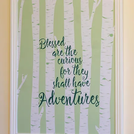 Bed and breakfast Harmony House Boutique Stillingfleet